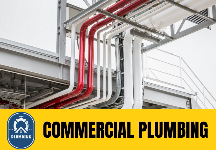 commercial plumbing Higham