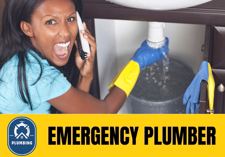 emergency plumber Higham